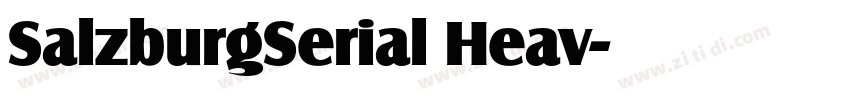SalzburgSerial Heav字体转换 SalzburgSerial Heav字体转换